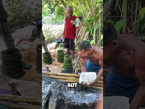 They’re chopping down this tree - but not for wood, not for fire.