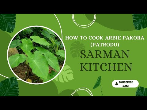 Arbi Patta Pakode Recipe | Patrodu | Pateedh | ਪਤੀੜ