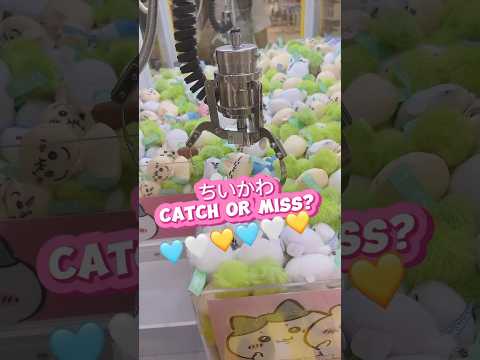 Chiikawa Claw Machine! 💛🤍 ちいかわ 吉伊卡哇 夾娃機