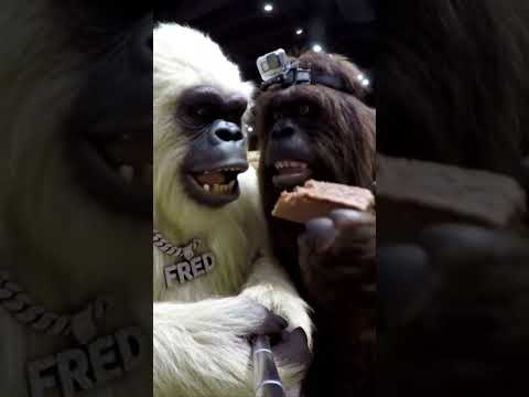 Eating fudge at Buc-ee’s with Bigfoot and Yeti