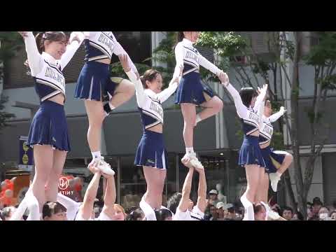 チアダンス福岡チアリーディングクラブWILDCATS博多どんたく駅前ストリート2024