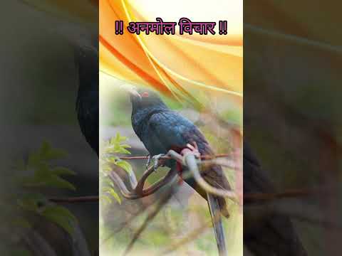 कौन कोयल है ?? और कौन कौआ ?? #trending #viral #motivational #bhakti #shorts # status #madhav #manish