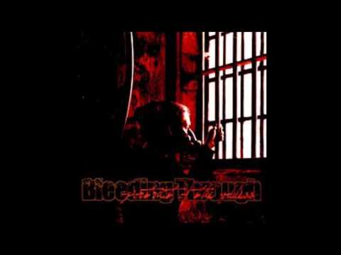 Bleeding Through - Rise