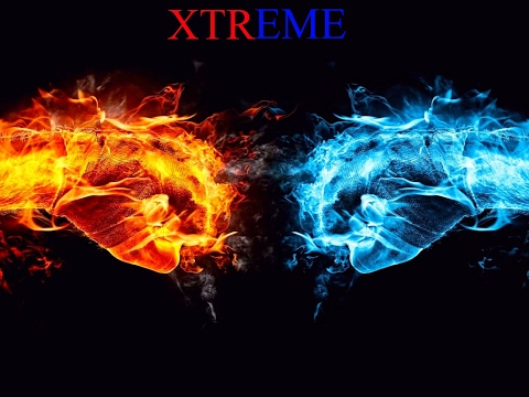 レックスRex Live Stream
