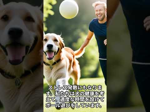 犬とのボール遊びの話 #shorts