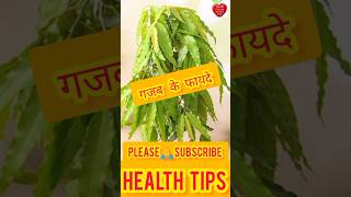 Ashok ke ped ke fayde | Vastu tips for home #shorts #youtubeshorts #ashokkaped