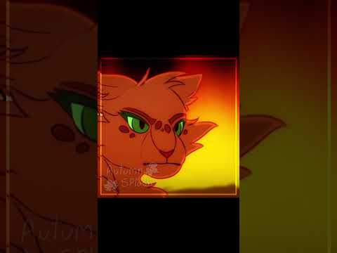 Tried out a different frame lmk what y’all think #warriorcats #warriors #cat #edit #hollyleaf #fyp