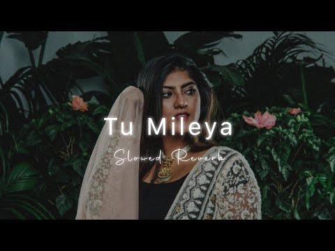 Tu Mileya - Darshan Raval | Slowed Reverb | Late-night Player