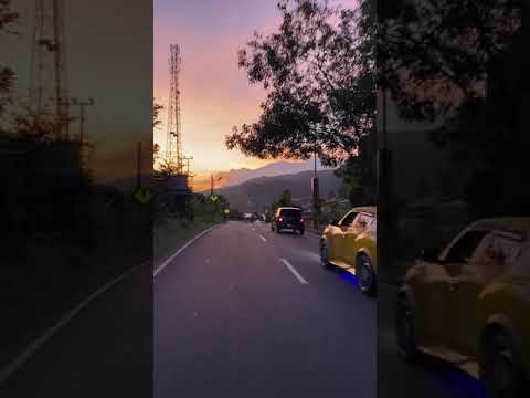 Lagu Reggae Acara Tiktok 2021