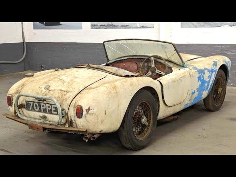 1957 AC Ace Bristol Restoration | From Le Mans Racer to Concours Perfection