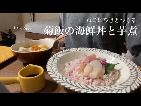華々しい菊の海鮮丼をネコに睨まれながら食べるの巻