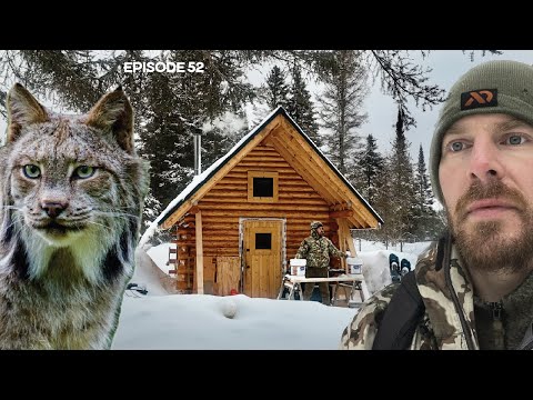 LYNX, Interior Work, Chinking |EP52| Log Cabin Build on Off-Grid Homestead