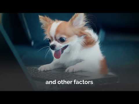 1-Why-Organizations-Need-an-MSP