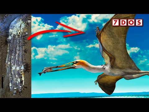 Rare Fossils Found Preserving the Scaly Skin of 150 Million-Year-Old Flying Reptiles