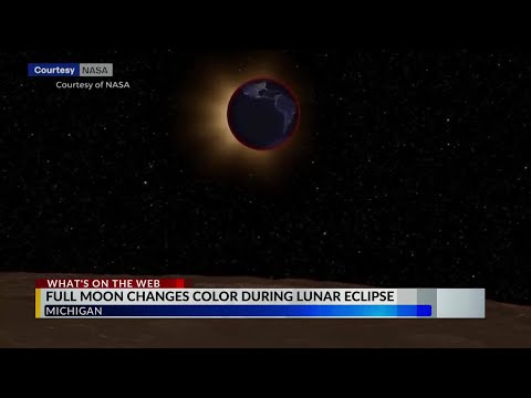 Did you catch the lunar eclipse early Friday morning?