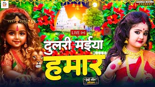 🌺🌼Parmparik Devi Pachra 2025 | 🥀🌷 Navrati Devi Geet Bhojpuri Live 2025 | 🌸Live Devi Geet Navratri 🥀🌷