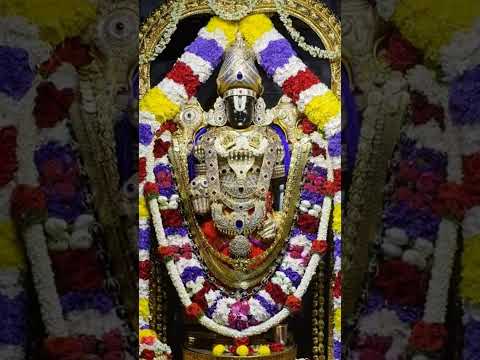 #TirupatiBalaji#blessed#Venkatesha#godblessed#lord#song#love#Favouritegod#live#sortsBalaji 🙏🙌