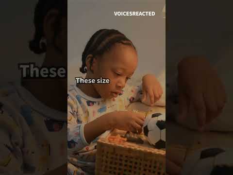 🦖 Dino Detectives! Size Showdown | Compare Dinosaur Giants 🦕