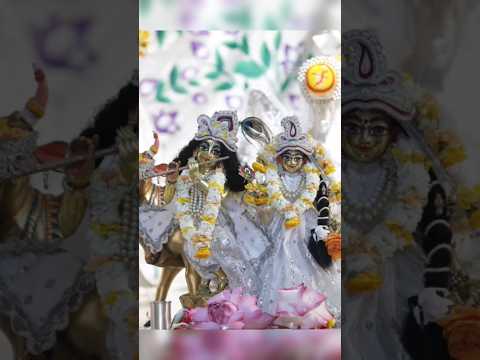 Bolo Radha Radha Naam #shorts #radheradhe