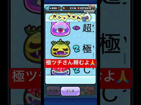 極ツチ！極ツチ！極ツチこーい！#ぷに