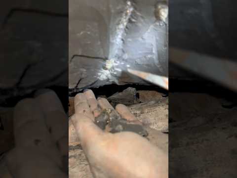 Gold mining ⛏️ #goldmining #undergroundmining #usa🇺🇸  @Hidden Treasure 💎🔨