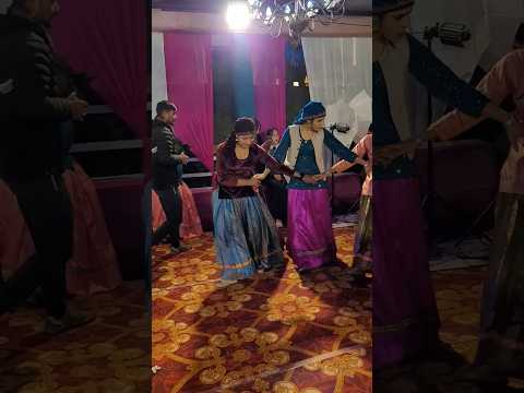 Pahadi wedding dance Pahari Nati #himachali #himachal #himachaliwedding #pahadishaadi #pahadisong