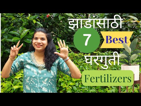 Best Plant Fertilizers🌿 || Homemade Fertilizers||Plant Care ||झाडांसाठी घरगुती खते||
