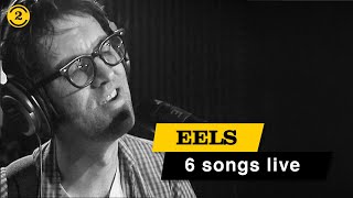 EELS - Live in 1997 | NOVOCAINE FOR THE SOUL, SUSAN'S HOUSE, MANCHESTER GIRL on 2 Meter Sessions