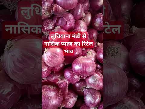 19 मार्च 2025 लुधियाना मंडी #नासिक प्याज का रिटेल भाव#viralvideo