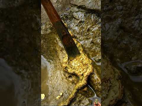 Gold Quartz 🪙😮 #GoldRush #Quartz