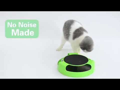 CATCH THE MOUSE MOTION CAT TOY