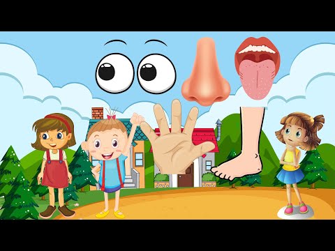 Body Adventure: A Kid's Exploration with babycalmdown Tv