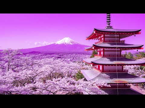 Detox Your Mind | Positive Energy Music 432Hz | Deep Healing Miracle Tone | Mindfulness Meditation