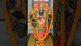 Kartik month Shree Venkateshwar Swami#kartikmaah#vishnusahasranam#kartikkatha#mantra#bhajan#viral