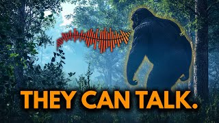 Bigfoot Has a Language. Here’s the Proof.