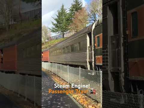 #train #steam #steamengine #mechanical #perfect #history #bike #christmas #asmrsounds #asmrvideo