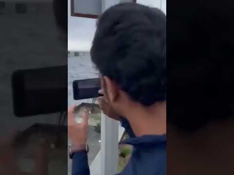 Chennai rain December 2022