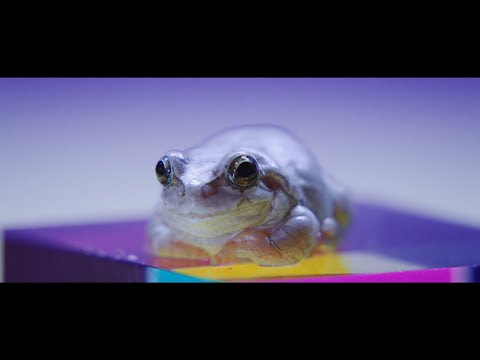Motoki Ohmori - ‘Midnight’ Teaser #1