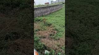sale for plot 1500sq fit dakhil khari best location shivpuram paniyala road. contact me 6398989293