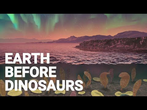 What Was Life Like 600 000 000 Years Ago?