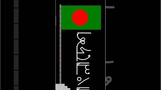 Simple Python Turtle Design || Bangladesh Flag Design || Bangladesh || #bangladesh #new_bangladesh