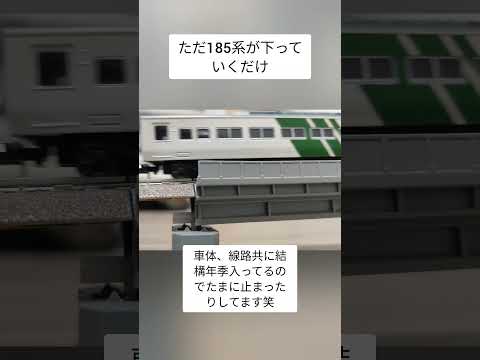 ただ185系が走るだけ