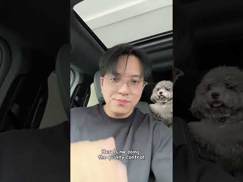 Meet our suPAWstar! 🩶