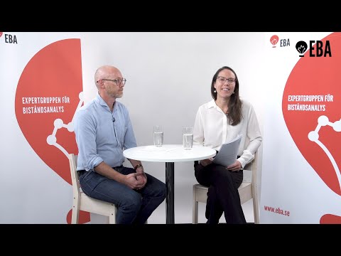 Demokratibistånd – funkar det?
