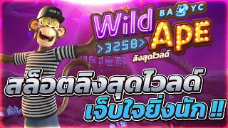 เว็บตรงไม่ผ่านเอเย่นต์ เว็บตรงสล็อต เว็บตรง 2024 สล็อตแตกง่าย