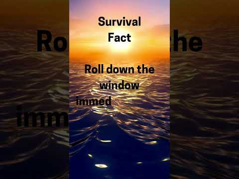 Survival tips that could save your life