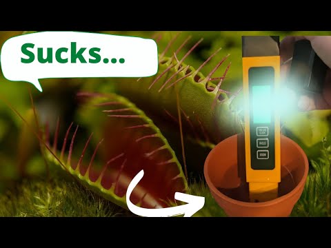 Why THESE Pots Can Kill Your Venus Flytrap 🌱(terra cotta vs clay vs glazed ceramic vs ...)