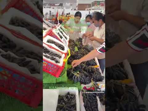 #ผลไม้ #ผลไม้ต่างประเทศ #ผลไม้เพื่อสุขภาพ #ผลไม้สด