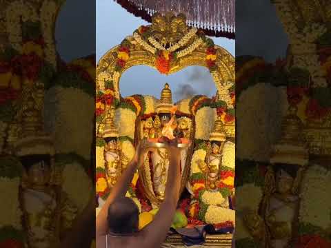 శ్రీవారి ‘పుష్కరిణి హారతి ’ దివ్య దర్శనం🙏🙏🙏 #balaji #balajibhajan #tirupatibalajimantra #govinda