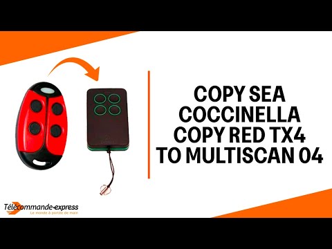 How to Copy a SEA COCCINELLA COPY RED TX4 Remote to a MULTI SCAN 04 Cloning Remote